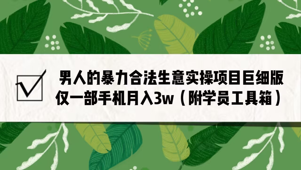 男人的暴力合法生意实操项目巨细版：仅一部手机月入3w-大源资源网