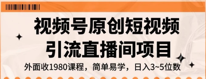 视频号原创短视频引流直播间项目，日入3~5五位数【揭秘】-大源资源网