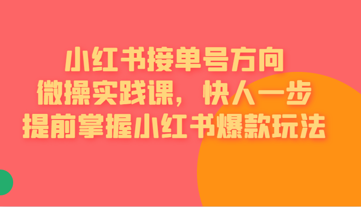 小红书接单号方向微操实践课，快人一步提前掌握小红书爆款玩法-大源资源网