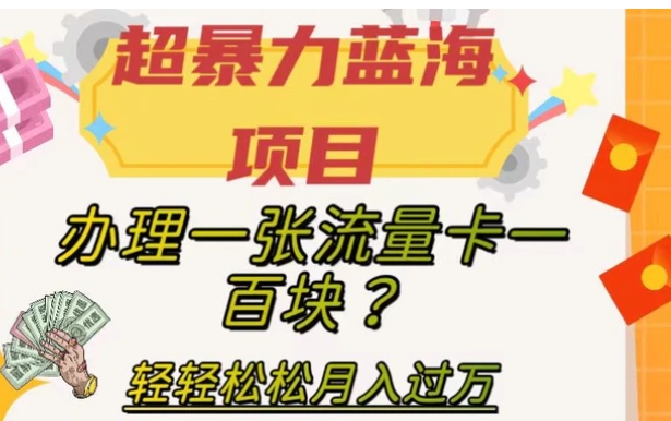 超暴力蓝海项目，办理一张流量卡一百块？轻轻松松月入过万，保姆级教程【揭秘】-大源资源网