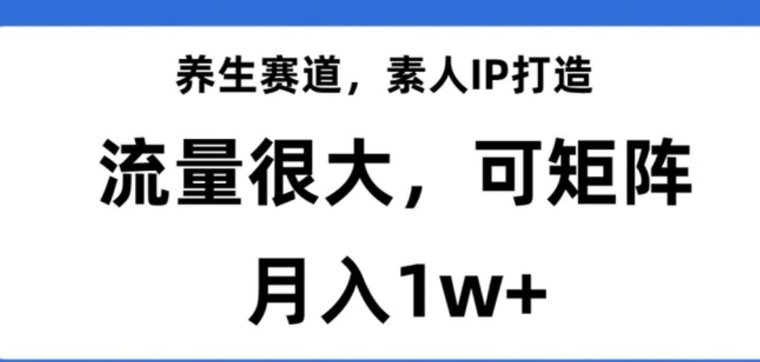 养生赛道，素人IP打造，流量很大，可矩阵，月入1w+【揭秘】-大源资源网