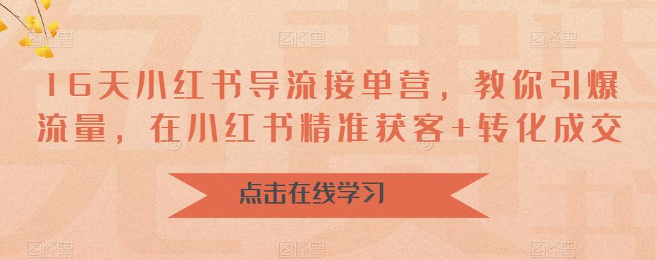 16天-小红书 导流接单营，教你引爆流量，在小红书精准获客+转化成交-大源资源网