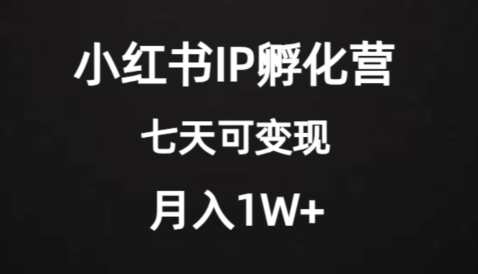 价值2000+的小红书IP孵化营项目，超级大蓝海，七天即可开始变现，稳定月入1W+-大源资源网