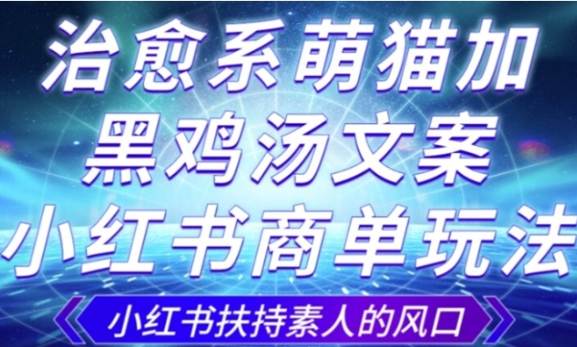 治愈系萌猫加+黑鸡汤文案，小红书商单玩法，3~10天涨到1000粉，一单200左右-大源资源网