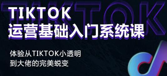 《Tiktok运营基础入门系统课》从tiktok小白到大佬的完美蜕变-大源资源网