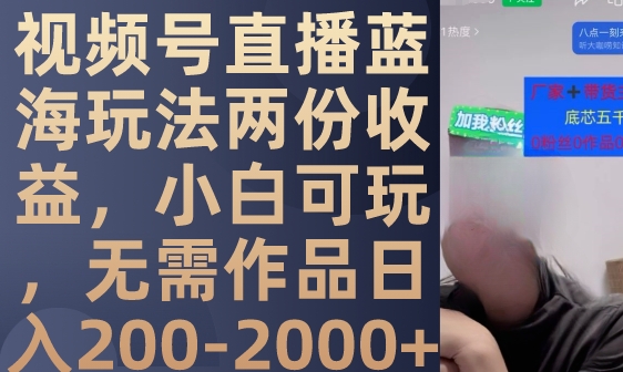 视频号直播蓝海玩法两份收益，小白可玩，无需作品日入200-2000+-大源资源网