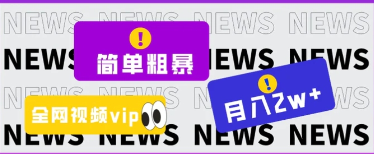 简单粗暴零成本，高回报，全网视频VIP掘金项目，月入2万＋-大源资源网