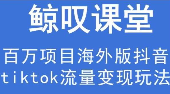 鲸叹号《海外TIKTOK训练营》百万项目海外版抖音tiktok流量变现玩法-大源资源网