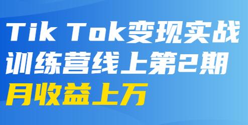 龟课-TikTok变现实战训练营 第2-4期 月收益上万不成问题-大源资源网