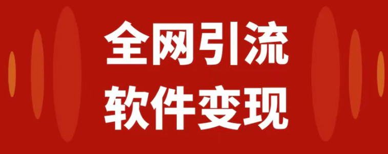 全网引流，软件虚拟资源变现项目，日入1000＋-大源资源网