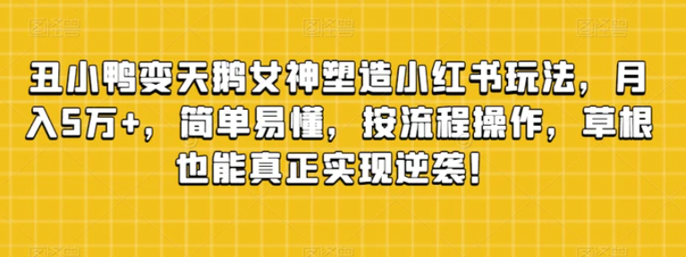 丑小鸭变天鹅女神塑造小红书玩法，月入5万+，简单易懂，按流程操作，草根也能真正实现逆袭！-大源资源网