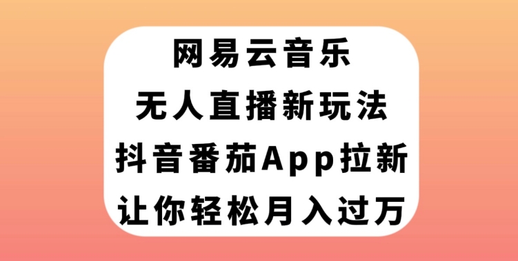 网易云音乐无人直播新玩法，抖音番茄APP拉新，让你轻松月入过万-大源资源网