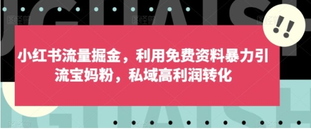 小红书流量掘金，利用免费资料暴力引流宝妈粉，私域高利润转化【揭秘】-大源资源网