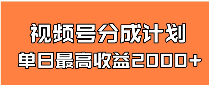 全新蓝海 视频号掘金计划 日入2000+-大源资源网