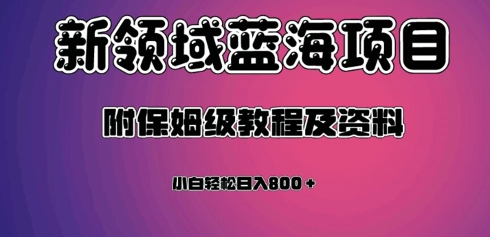 虚拟资源蓝海领域新项目，轻松日入800＋，附保姆级教程及资料-大源资源网