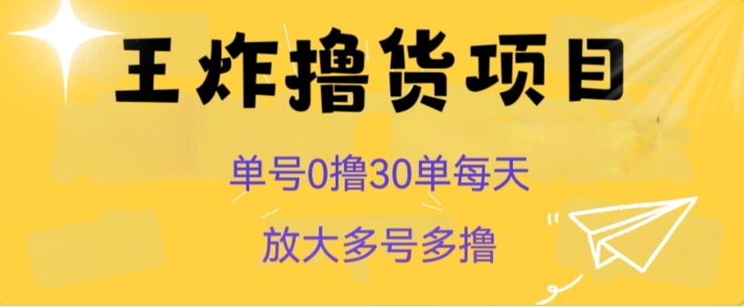 王炸撸货项目，单号0撸30单每天，多号多撸【揭秘】-大源资源网