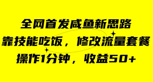 咸鱼冷门新玩法，靠“技能吃饭”，修改流量套餐，操作1分钟，收益50+-大源资源网