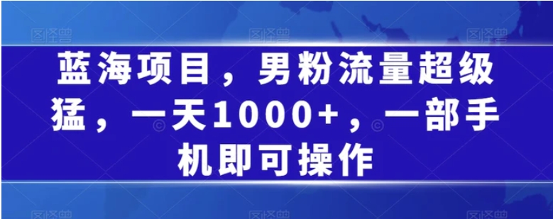 蓝海项目，男粉流量超级猛，一天1000+，一部手机即可操作【揭秘】-大源资源网