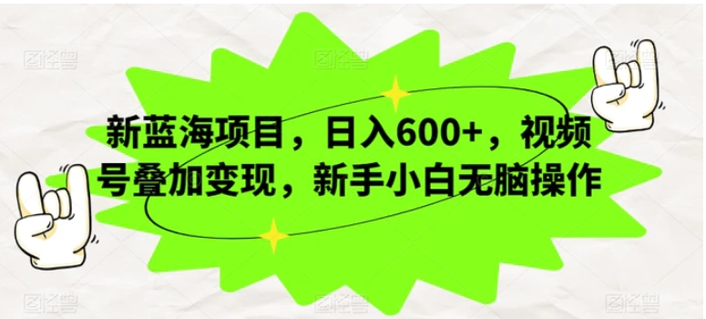 新蓝海项目，日入600+，视频号叠加变现，新手小白无脑操作【揭秘】-大源资源网