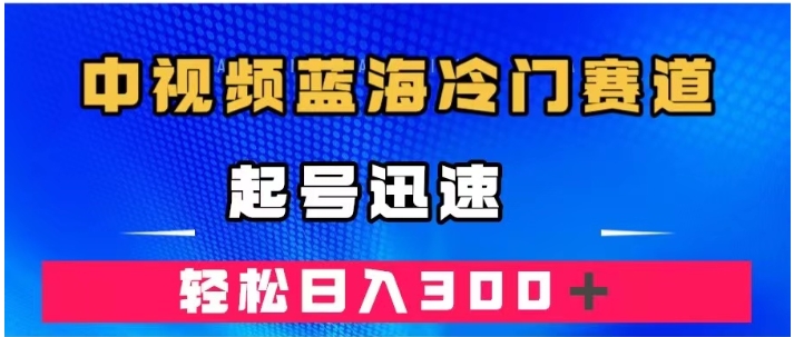 中视频蓝海冷门赛道，韩国视频奇闻解说，起号迅速，日入300＋-大源资源网