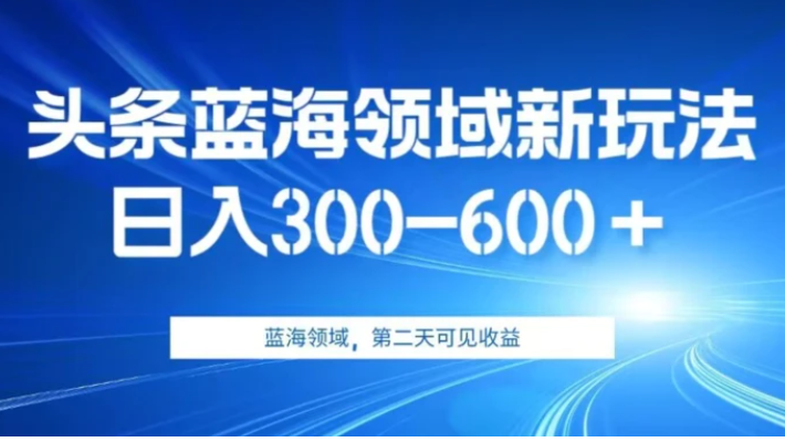 AI头条野路子蓝海领域新玩法2.0，日入300-600＋，附保姆级教程【揭秘】-大源资源网