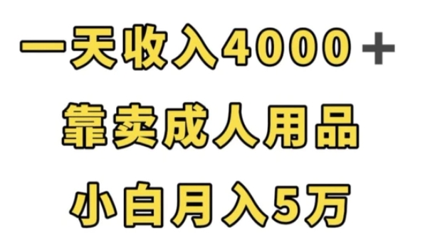 一天收入4000+，靠卖成人用品，小白轻松月入5万【揭秘】-大源资源网