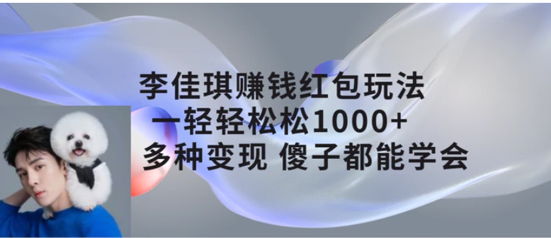 李佳琪赚钱红包玩法，一天轻轻松松1000+，多种变现，傻子都能学会-大源资源网