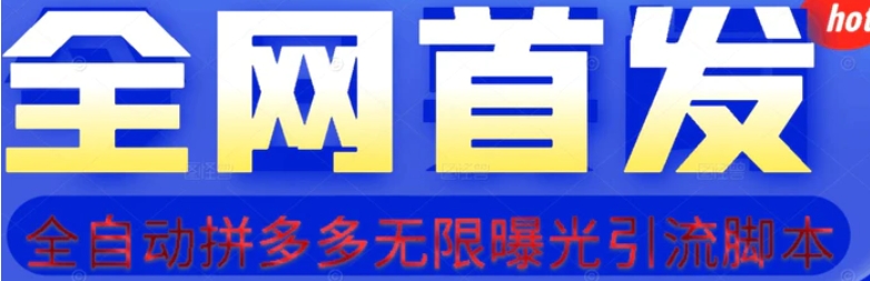 【首发】拆解拼多多如何日引100+精准粉【揭秘】-大源资源网