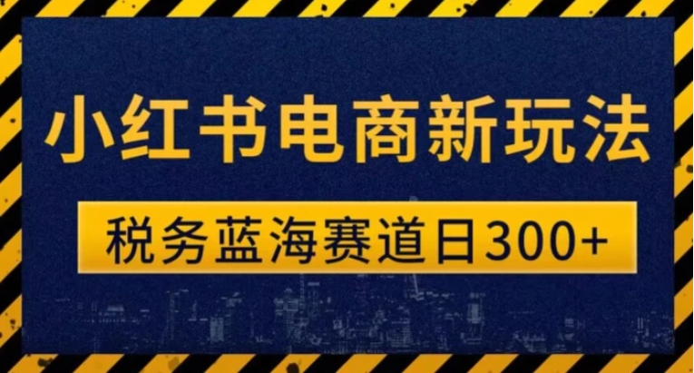 税务师小红书电商新玩法，知识撸金稳定300+-大源资源网