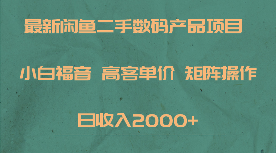 最新闲鱼二手数码赛道，小白福音，高客单价，矩阵操作，日收入2000+-大源资源网