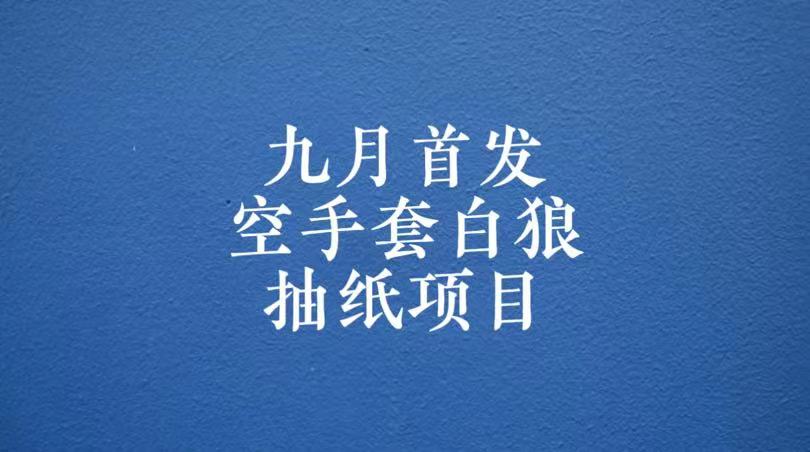 0成本，日入100-500空手套白狼抽纸项目，保姆级教学-大源资源网