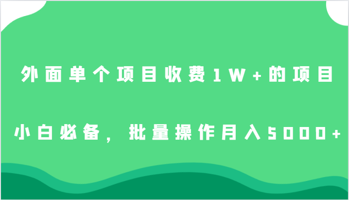 外面单个项目收费1W+的项目，小白必备，批量操作月入5000+-大源资源网