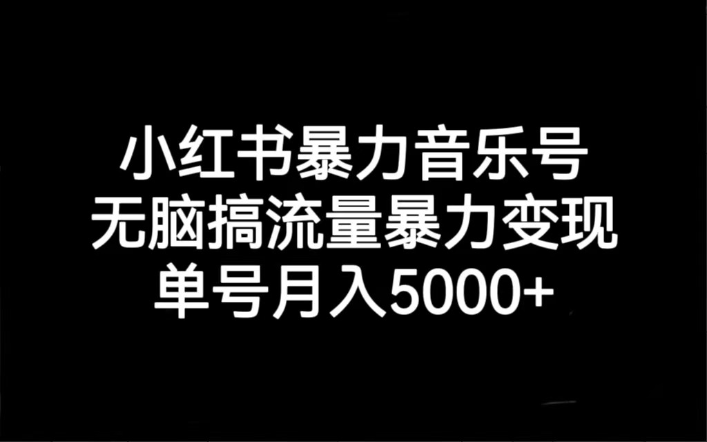 小红书暴力音乐号，无脑搞流量暴力变现，单号月入5000+-大源资源网