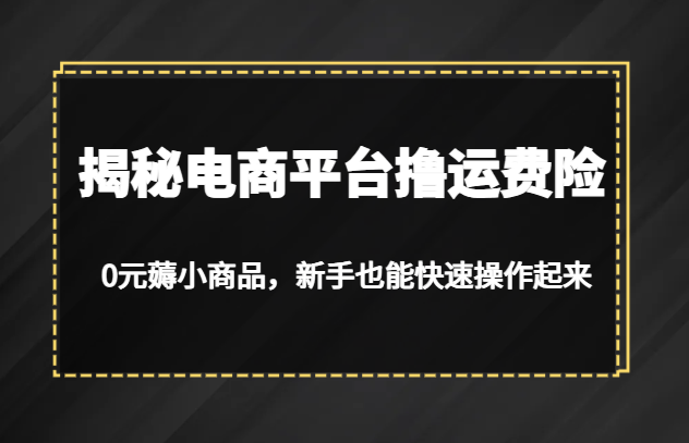 揭秘电商平台撸运费险，0元薅小商品，新手也能快速操作起来-大源资源网