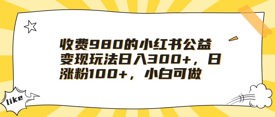 收费980的小红书公益变现玩法日入300+，日涨粉100+，小白可做-大源资源网