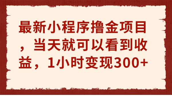 最新小程序撸金项目，当天就可以看到收益，1小时变现300+-大源资源网