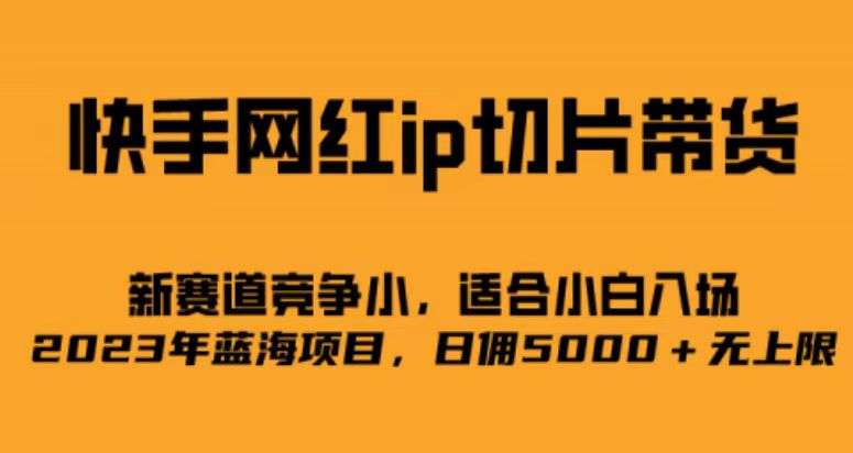 快手网红ip切片新赛道，竞争小，适合小白 2023蓝海项目-大源资源网