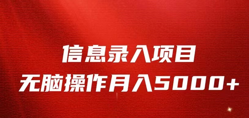 信息录入返佣项目，小白无脑复制粘贴，月入5K+-大源资源网