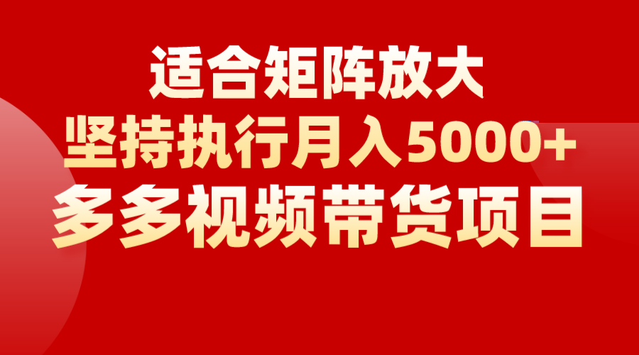 矩阵操作月入5000+，多多视频带货项目，适合新手，也适合老手放大-大源资源网