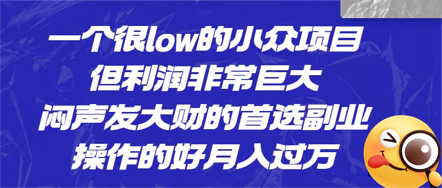 一个很low的小众项目，但利润非常巨大，闷声发大财的首选副业，月入1W+-大源资源网