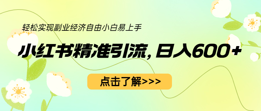 小红书精准引流，小白日入600+，轻松实现副业经济自由-大源资源网