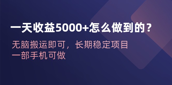 一天收益5000+怎么做到的？无脑搬运即可，长期稳定项目，一部手机可做-大源资源网