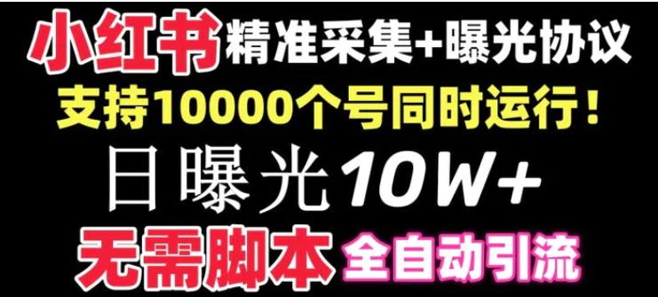 【价值10万！】小红书全自动采集+引流协议一体版！无需手机，支持10000个号同时运行-大源资源网