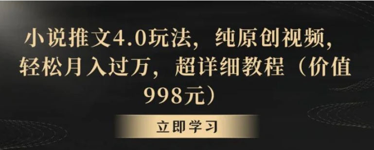 小说推文4.0玩法，纯原创视频，轻松月入过万，超详细教程-大源资源网