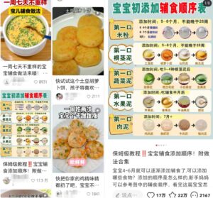 婴儿辅食虚拟资料项目思路，无门槛轻松上手操作-大源资源网