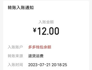 新手必看：最新项目玩法，亲测一单6元，轻松日入200+-大源资源网