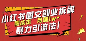 小红书图文创业拆解，暴力引流法，零成本月入1w+【揭秘】-大源资源网