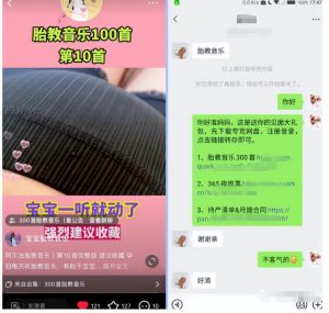 小红书胎教音乐副业项目，拉新+引流轻松搞定，玩法无私分享给你-大源资源网