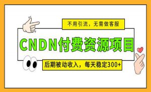 CNDN付费资源项目-大源资源网