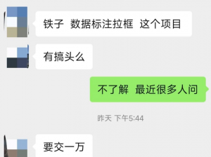 外面收费两千到一万的数据标注项目拆解，是否真能日入七八百？推荐几个免费做的平台。-大源资源网